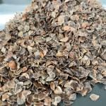 Karabuğday Kabuğu 5 Kg