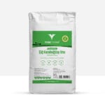 Glutensiz Çiğ Karabuğday Unu 5 Kg