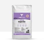 Sorgum bitkisinin tanelerinden elde edilen sorgum unu tarifleriniz için yeni bir alternatif olacak.