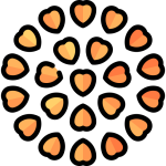 Karabuğday Patlağı